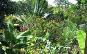 Nouveau: France Ô lance sa nouvelle collection de documentaires « Arts et cultures »