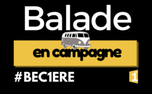 Présidentielle 2017: Guadeloupe 1ère se "balade en campagne", du 17 au 20 Avril, sur Internet