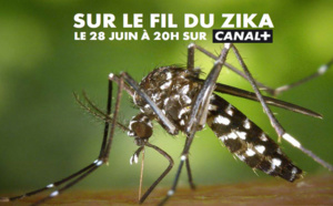 Inédit: Un documentaire consacré au Zika en Outre-Mer, le 28 juin sur Canal+