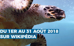 "Photographiez les Outre-mer", le premier concours photo ultra-marin sur Wikipédia