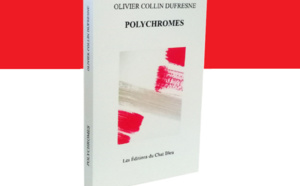 Rentrée litteraire à la Réunion: POLYCHROMES d'Olivier Collin Dufresne désormais disponible