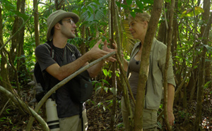 L'enquête "Guyane, l'or de la discorde" disponible sur YouTube quelques jours après sa diffusion sur Ushuaïa TV