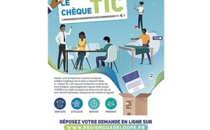 Guadeloupe: Un "Chèque TIC" pour accompagner les TPE dans leur transition numérique et digitale