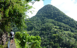 "Or jaune, Or vert, Or trouble": Les Antilles et la Guyane à l'honneur le 4 août sur France Ô