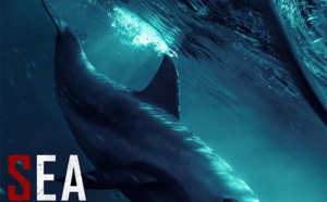 National Geographic diffuse le 24 novembre, le film événement "Sea Of Shadows" produit par Leonardo Di Caprio