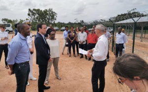Guyane: Les opérateurs mobile se mobilisent pour réduire les zones blanches
