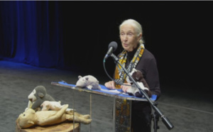 [Vidéo] Un documentaire sur l'engagement militaire de Jane Goodall, ce mercredi sur les chaînes National Geographic
