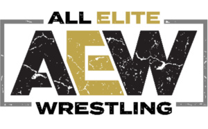 TOONAMI diffuse le 1er juin le show de la ligue de catch AEW "Double or Nothing"
