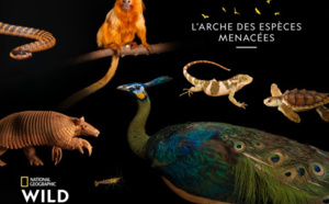 « L’arche des espèces menacées » issue du projet du photographe Joël Sartore de retour pour une nouvelle saison le 9 décembre sur National Geographic Wild