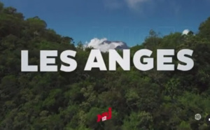 La Réunion: Plusieurs personnes agressés par des candidats de l'émission "Les Anges de la Télé-Réalité"