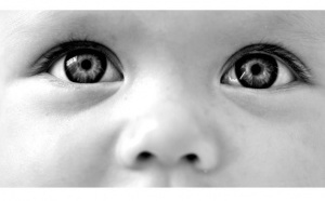 Litterature: "Recta Linea" le nouveau roman d'Emmanuel de Reynal