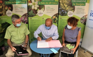Écologie: Leroy Merlin s’engage pour le « Fonds Agir pour la forêt »
