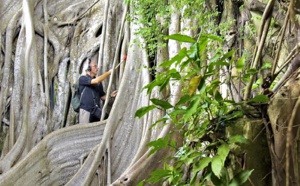 Christian Holl, chasseur de sons, capte l’âme de la Guadeloupe dans un documentaire inédit ce jeudi sur le Portail Outre-Mer La 1ère