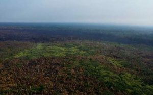 L'amazonie à l'honneur dans un documentaire inédit, écrit et raconté par Fabrice d'Almeida sur le Portail Outre-Mer La 1ère