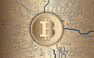 Quelle pièce de monnaie est préférable d'investir 1 dollar par jour, en BTC ou en ETH ?