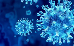 COVID-19: Émission spéciale, la 4ème vague en direct sur les trois antennes de Guadeloupe La 1ère