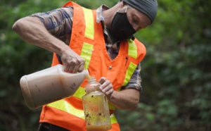 Enquête sur les frelons géants, le 20 août prochain sur Discovery Channel