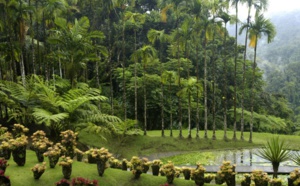 Le Monument Préféré des Français 2021: Diffusion le 15 septembre sur France 3, le Jardin de Balata (Martinique) en compétition