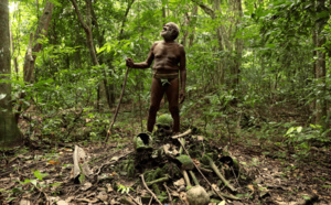 Vanuatu à l'honneur ce soir sur Ushuaïa TV