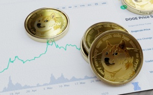 Le Dogecoin et sa place actuelle sur le marché de la crypto-monnaie 