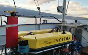 Mieux connaître la biodiversité des écosystèmes coralliens : de nouveaux outils d’imagerie sous-marine testés à La Réunion jusqu’à 100 m de profondeur