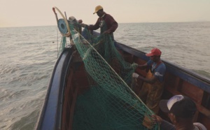 Cayenne (Guyane) sous le prisme maritime dans un documentaire inédit, le 17 janvier sur France 3 et le Portail Outre-Mer La 1ère