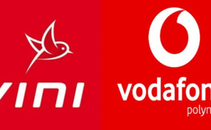Fin de l'utilisation du réseau Vini par Vodafone dés le 3 janvier sur les îles de Raiatea et Huahine