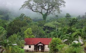 France 3 / "Village préféré des Français" : Saül représentera la Guyane