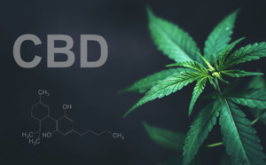 L'histoire du CBD légal en Europe