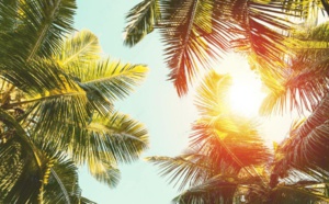 Guyane La 1ère TV en vacances à partir du 4 juillet !