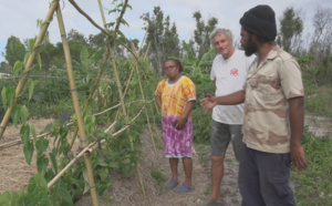 L'autonomie alimentaire au coeur d'un documentaire inédit diffusé le 13 août sur Nouvelle-Calédonie La 1ère