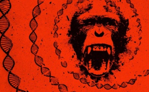 Le film documentaire évènement "L'avènement des hommes-singes" diffusé ce mardi sur Discovery Channel