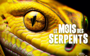 En mars, les serpents sont à l’honneur sur National Geographic Wild
