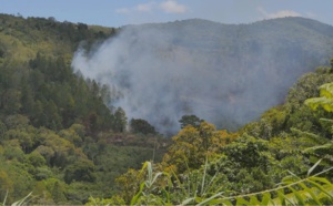 Canal+ Calédonie : Football (Super Ligue), Documentaires..., ce qui vous attend en mai sur Pacific+