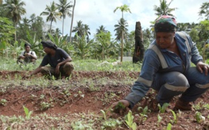 Le documentaire inédit "Les pionnières de Mayotte", diffusé le 2 octobre sur France 3 et la1ere.fr