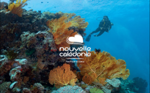 Nouvelle-Calédonie : 24 000 km2 de lagon protégé à découvrir au Salon de la Plongée 2024 !