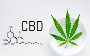 Que savoir sur la vente du CBD en France ?