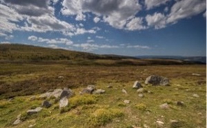 « Mission Nature 2024 » : lancement du 2e appel à projets sur la restauration écologique en faveur de la biodiversité