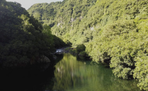 L'Îlet Coco à l'honneur dans Archipels, ce mercredi sur Réunion La 1ère