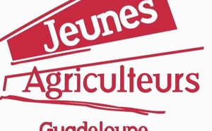 Guadeloupe : Démarrage de la campagne sucrière 2025