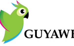 Guyaweb: L'exemple du Pure Player à la guyanaise