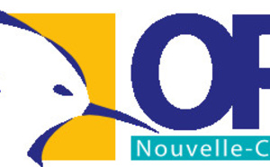 Nouvelle-Calédonie / OPT: Intervention sur le réseau Mobilis