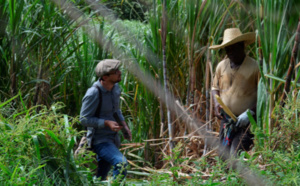 La Martinique et Mayotte à l'honneur dans la saison 2 inédite de Serial Tourist sur France Ô