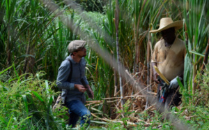 France Ô: Les programmes forts de la semaine (Du 9 au 15 Janvier 2016)