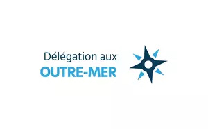 Lutte contre la vie chère outre-mer : pansements ou remèdes ?