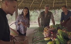 Aux origines de la cuisine créole : un voyage initiatique au cœur de la gastronomie antillo-guyanaise