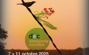 Le FIFAC et DOCMONDE lancent un appel à projets documentaires : à vos pitches !