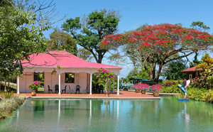 Monument préféré des Français : le Jardin botanique de Valombreuse représentera la Guadeloupe ce mercredi sur France 3