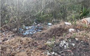 World Clean Up Day 2025 : La Réunion au rendez-vous de la plus grande mobilisation citoyenne mondiale pour la planète