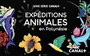 Expéditions Animales sur Canal+ Polynésie : une immersion spectaculaire au cœur de la faune polynésienne